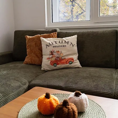 Cozy In Apartment
